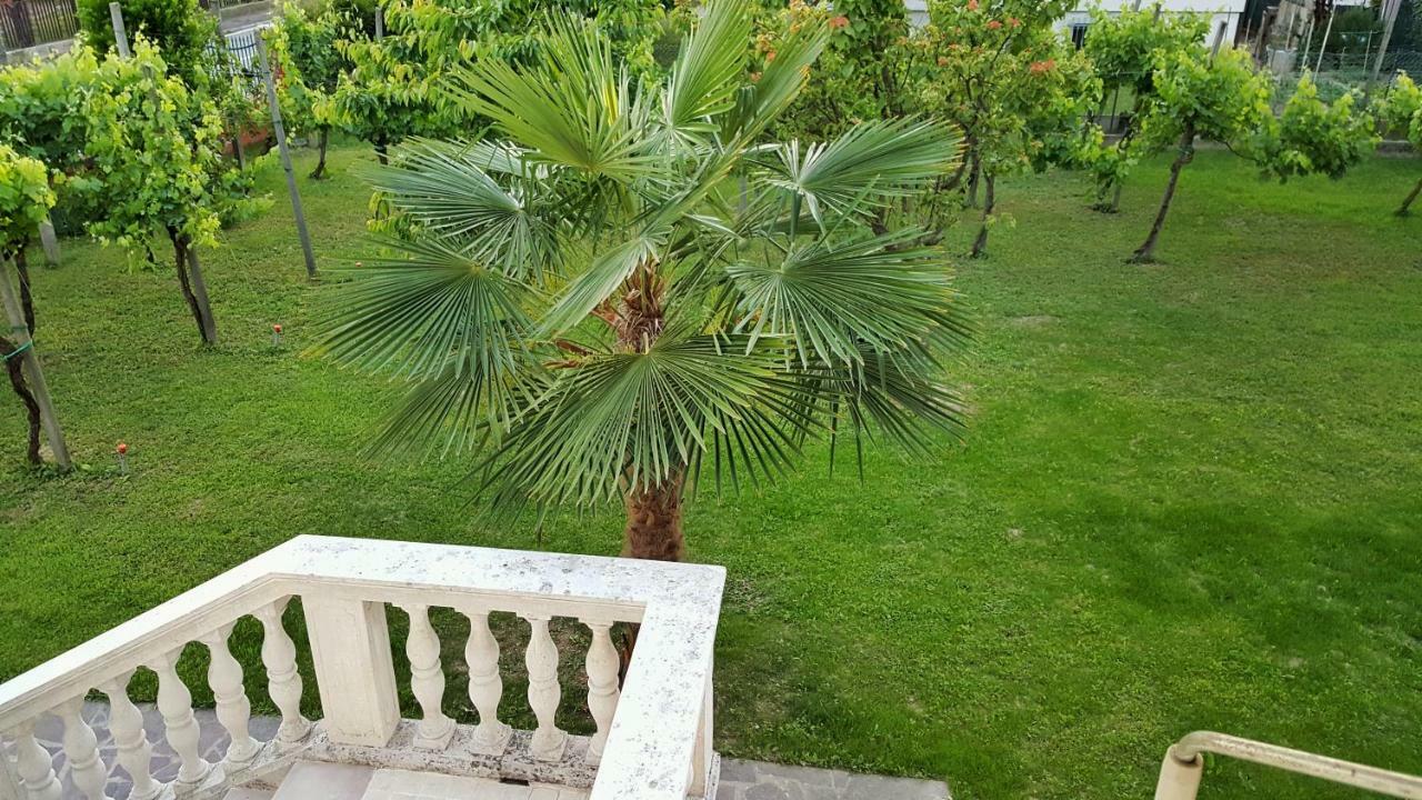 Casa Del Vigneto - New Near Venice - Rooms+Bathroom - Independent Spinea Exterior photo